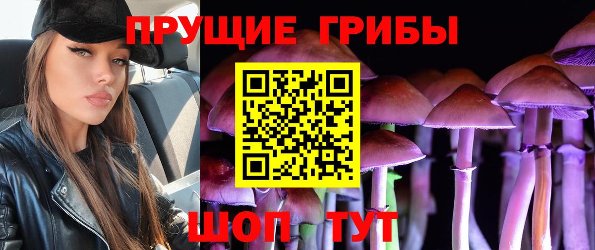 Крымск  Псилоцибиновые грибы Psilocybine cubensis  Вход с VPN 