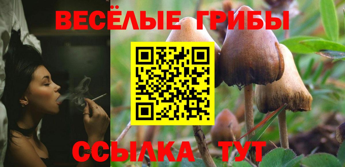 Галлюциногенные грибы прущие грибы Крымск